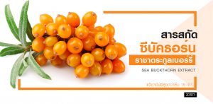 ซีบัคธอร์น ผลไม้มหัศจรรย์ ที่จะทำให้คุณจะต้องทึ่ง!! Sea Buckthorn